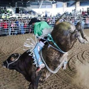 Meet your Posher, Javier